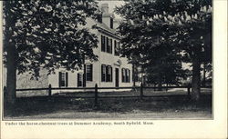 Under the Horse-Chestnut Trees at Dummer Academy Postcard