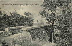 Charles Eliot Memorial Bridge Postcard