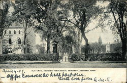 Elm Arch, Andover Theological Seminary Massachusetts Postcard Postcard Postcard