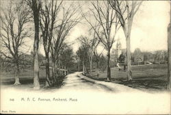 M.A.C. Avenue Amherst, MA Postcard Postcard Postcard