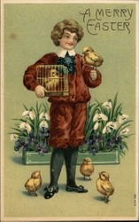 Boy with Chicks and Flowers Postcard Postcard Postcard