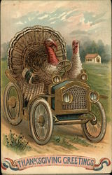 Thanksgiving Greetings - 2 Turkeys in a Car Postcard Postcard Postcard