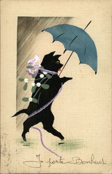 Cat Walking Upright and Carrying an Open Umbrella Postcard