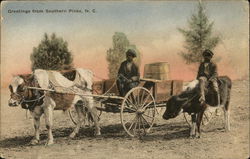 Greetings from Southern Pines, NC Black Americana Postcard Postcard Postcard