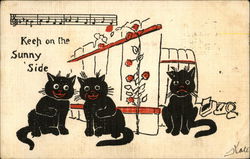 Keep on the Sunny Side - Black Cats Postcard