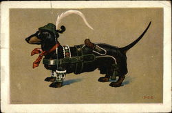 Dachshund Dog Dressed Up Postcard