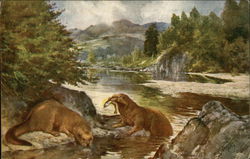 Otters in a River Fishing Postcard