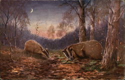 Two Badgers in the Woods at Night Postcard Postcard Postcard