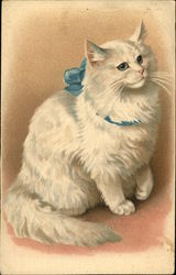 Cat with Blue Ribbon Postcard