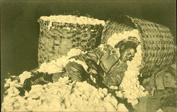 Boy Laying in Basket of Cotton Postcard