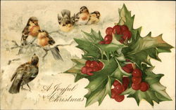 A Joyful Christmas - Birds and Holly Postcard Postcard Postcard