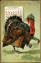 Thanksgiving Day - "I'm Going Travelling." Turkeys Postcard Postcard Postcard