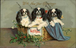 Three Dogs in a Basket New Year's Postcard Postcard Postcard