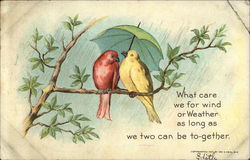 Two Birds Sharing Umbrella Romance & Love Postcard Postcard Postcard