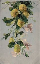 Yellow Fruit and Pink Blossoms Postcard