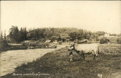 Scene Along Old Channel Montague, MI Postcard Postcard Postcard