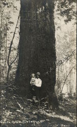 Man and Daughter by a Tree Postcard