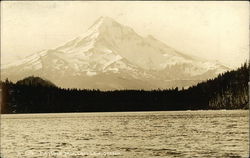 Mt. Hood from Lost Lake, Oregon. Hood River, OR Postcard Postcard Postcard