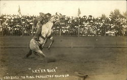 Let 'er Buck 130 Easy to Ride Pendleton Roundup Rodeos Postcard Postcard Postcard