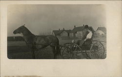 Couple and Dog in Horse Pulled Wagon Spokane, WA Postcard Postcard Postcard