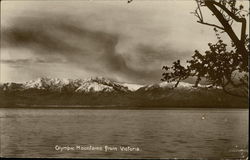 Olympic Mountains Victoria, BC Canada British Columbia Postcard Postcard Postcard