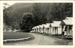 Cabins at Sol Duc Hot Springs Olympic National Park, WA Postcard Postcard Postcard