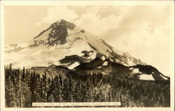 North Side of Mt. Hood from Cloud Cap Inn Parkdale, OR Postcard Postcard Postcard