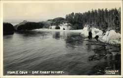 Whale Cove - Oregon Coast Highway Depoe Bay, OR Postcard Postcard Postcard