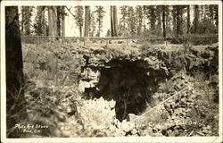 Entrance to Lava River Cave Postcard