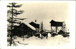 Dogs by a Snow Covered Cabin Postcard Postcard Postcard