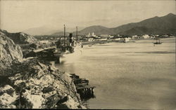 Steamship in a harbor Postcard