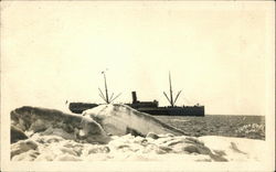 Steamship Off Alaskan Coast Postcard