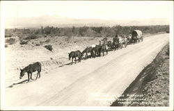 Covered Wagon and Horses Traveling Horse-Drawn Postcard Postcard Postcard