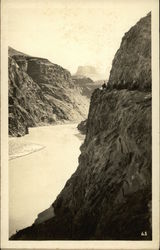 Mule train heading into the Grand Canyon Arizona Grand Canyon National Park Postcard Postcard Postcard