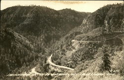 Switchback on Hwy. 89 entering Oak Creek Canyon Arizona Postcard Postcard Postcard