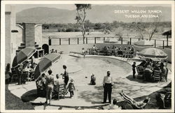 Desert Willow Ranch Postcard