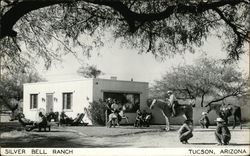 Silver Bell Ranch Tucson, AZ Postcard Postcard Postcard