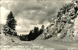 Rocks and Pines on Highway 66 Flagstaff, AZ Postcard Postcard Postcard