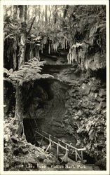 Lava Tube and Walkway Postcard