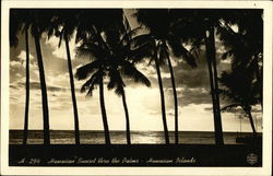 Sunset thru the Palms Hawaii Postcard Postcard Postcard