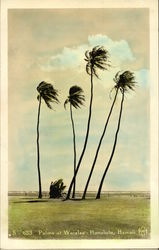 Palms at Waialae - Tinted Honolulu, HI Postcard Postcard Postcard