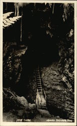 Staircase in Lava Tube Postcard