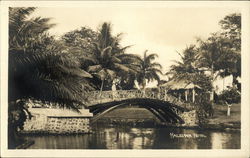 Haleiwa Hotel Bridge Hawaii Postcard Postcard Postcard