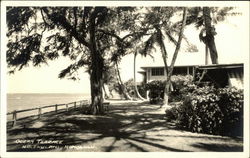 Ocean Terrace, Halekulani Honolulu, HI Postcard Postcard Postcard