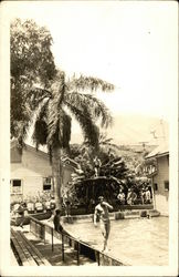 Men Bathing At An Hawaiian Swimming Pool Postcard Postcard Postcard