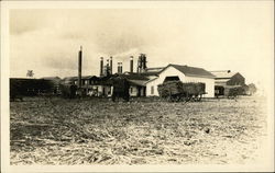 Sugar mill photo Hawaii Postcard Postcard Postcard