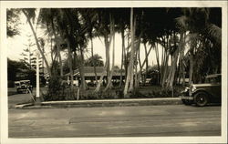 View of a House Through Palm Trees Honolulu, HI Postcard Postcard Postcard