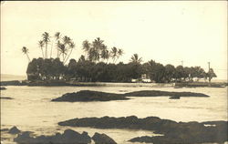 Scene in Hilo, Hawaii Postcard