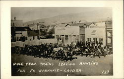 Mule Team Trains Leaving for Ft. Washakie - Lauder Rawlins, WY Postcard Postcard Postcard