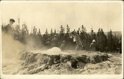 People Gazing at a Geyser Yellowstone National Park, WY Postcard Postcard Postcard